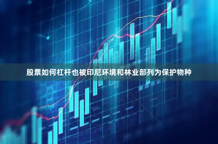 股票如何杠杆也被印尼环境和林业部列为保护物种