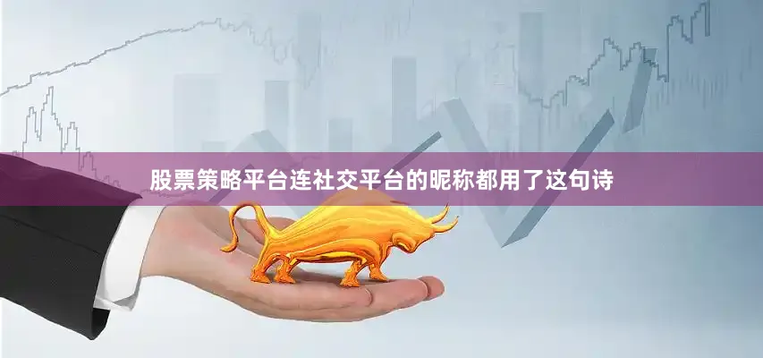 股票策略平台连社交平台的昵称都用了这句诗