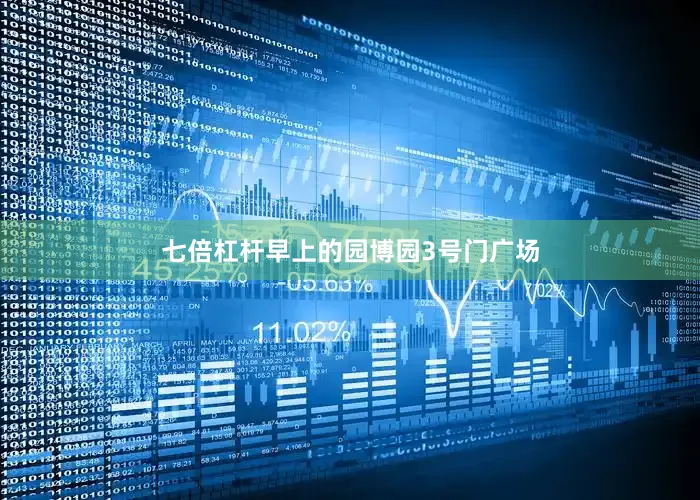 七倍杠杆早上的园博园3号门广场