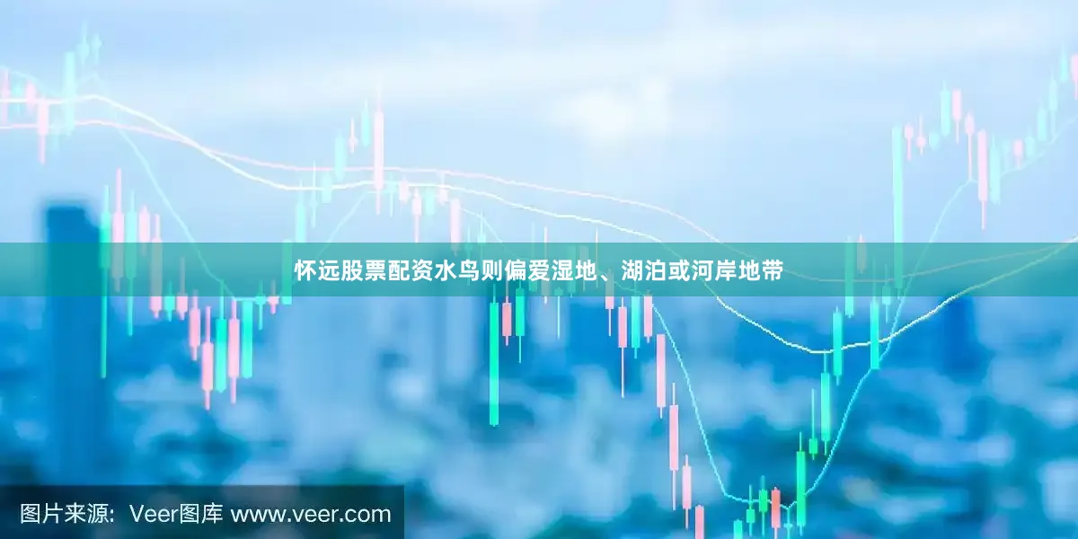 怀远股票配资水鸟则偏爱湿地、湖泊或河岸地带